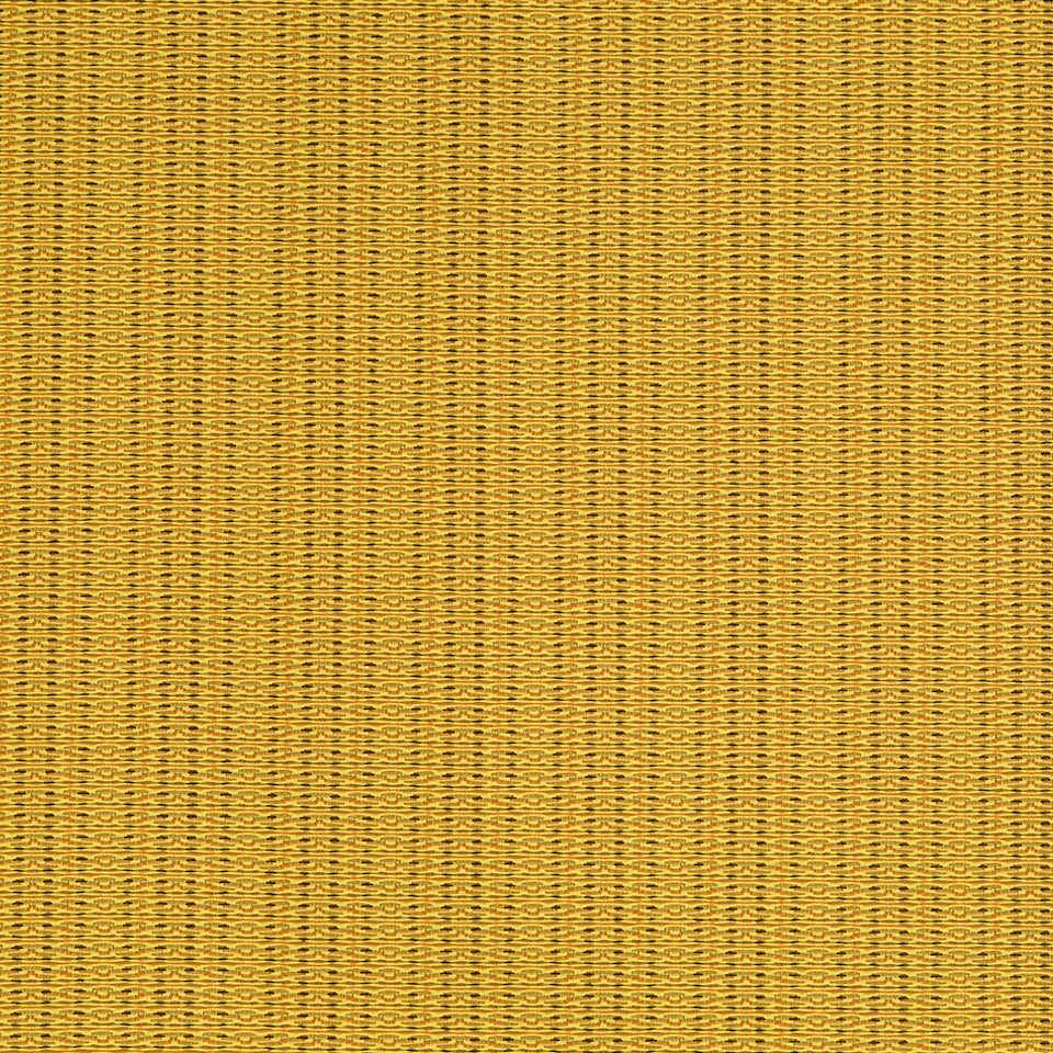 SYNCOPATION | LEMON DROP