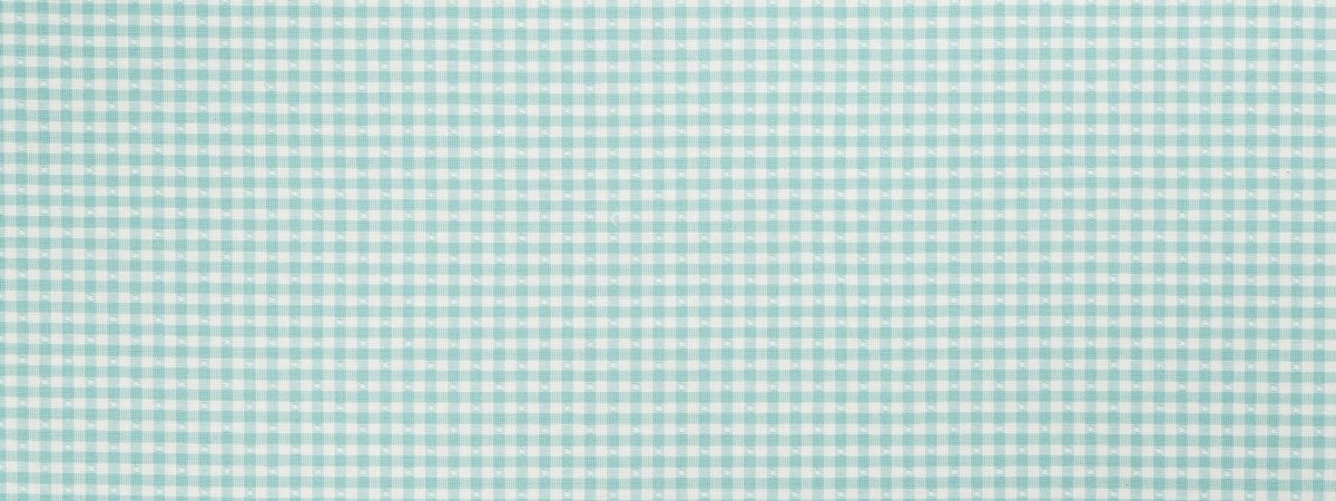 BETSY GINGHAM | WATER - Multi-purpose