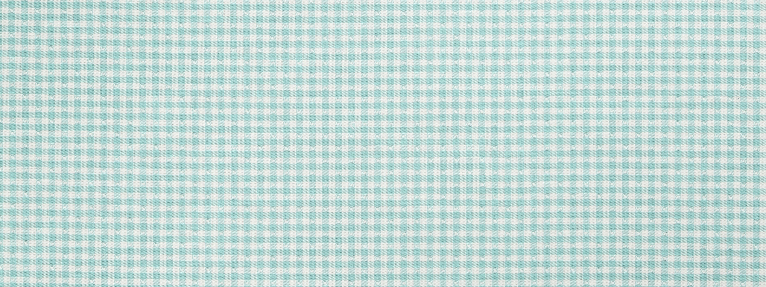 BETSY GINGHAM | WATER