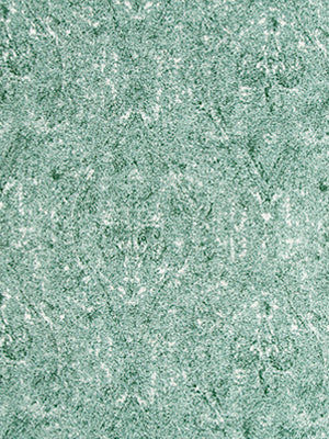 OGEE PAISLEY | LAGOON