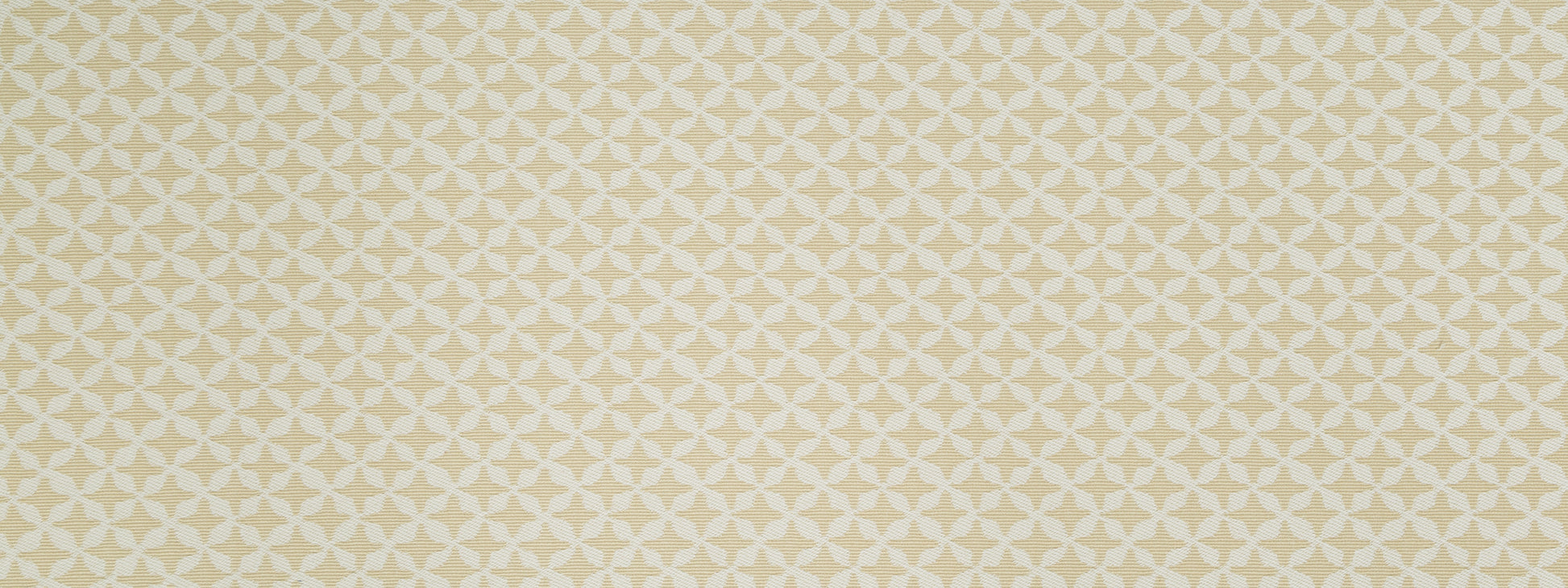 CLOVER SPIN | STRAW