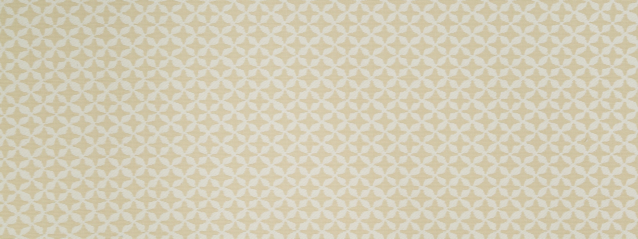 CLOVER SPIN | STRAW
