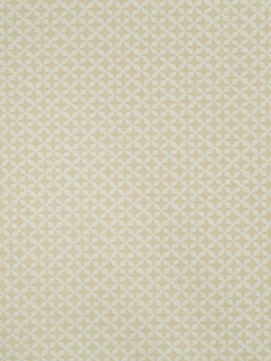 CLOVER SPIN | STRAW