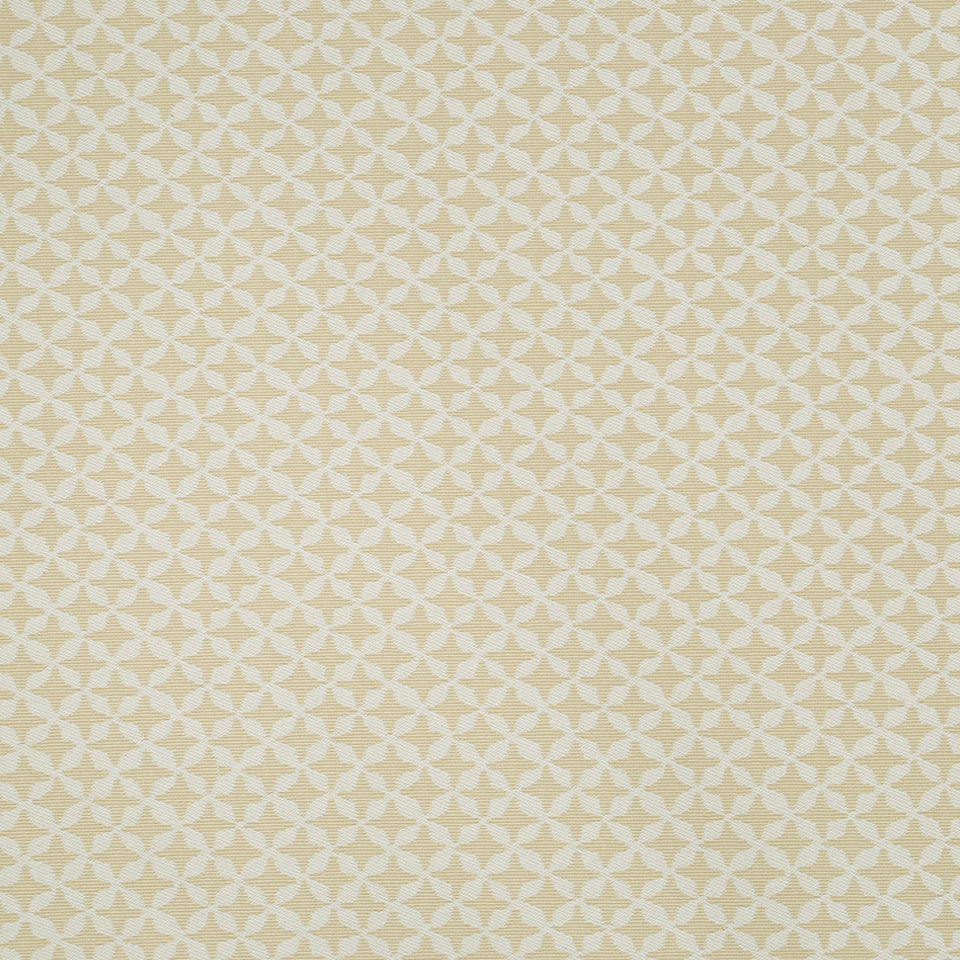 CLOVER SPIN | STRAW