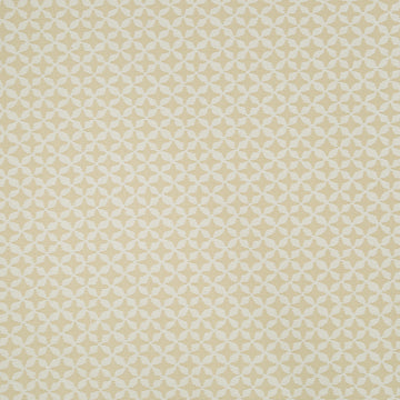 CLOVER SPIN | STRAW