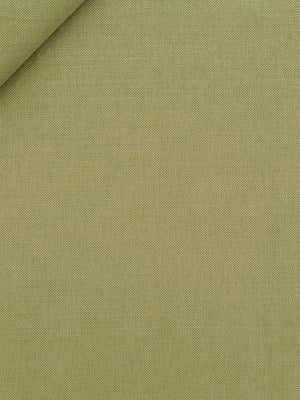 Brushed Linen | Palm