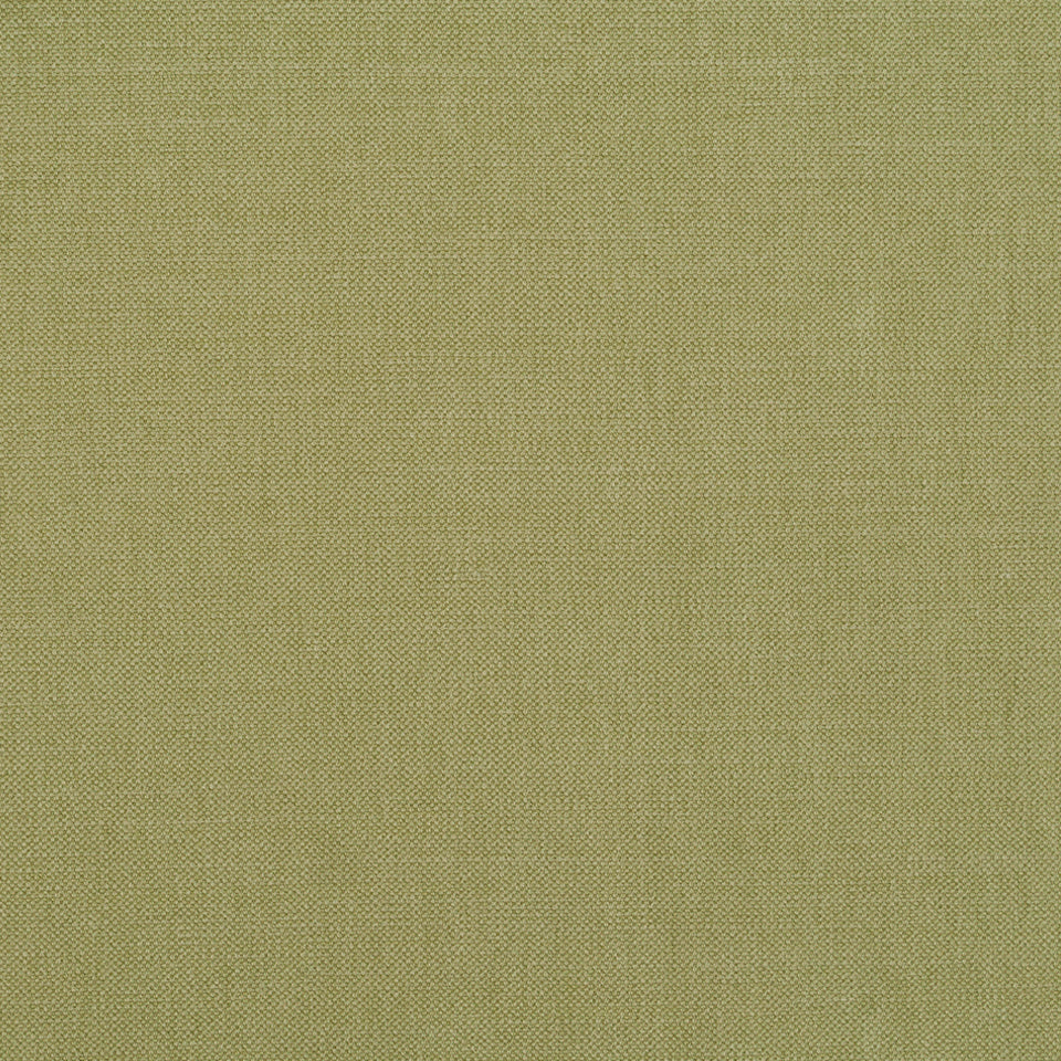 Brushed Linen | Palm