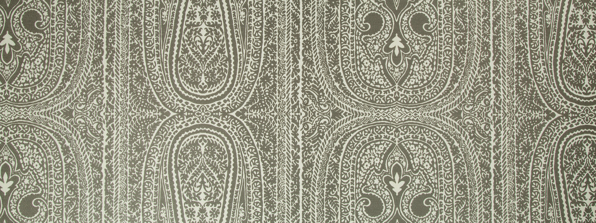 Padra Paisley | Dove
