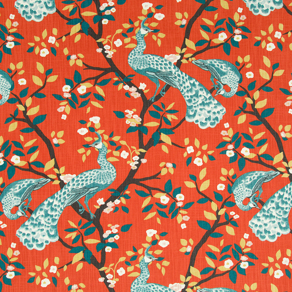 PLUME REDUX | PERSIMMON