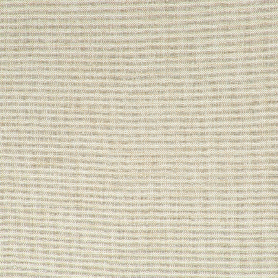 Swift Texture | Driftwood