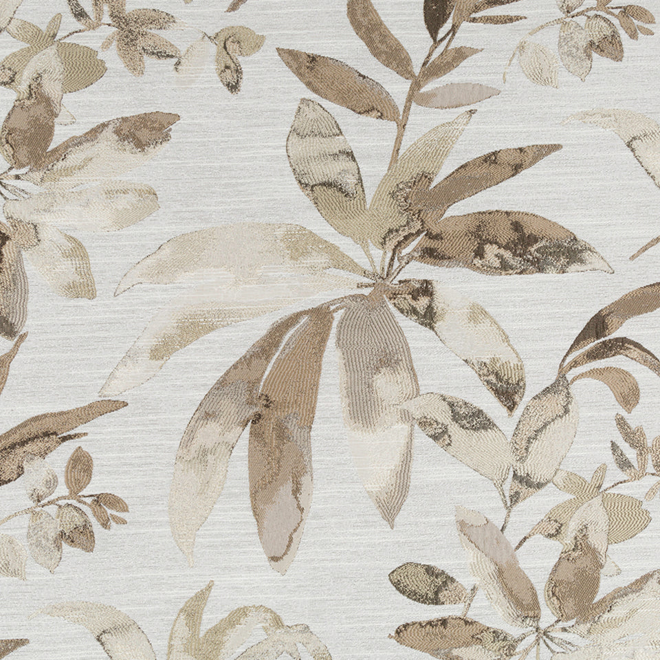 APRIORI | DRIFTWOOD