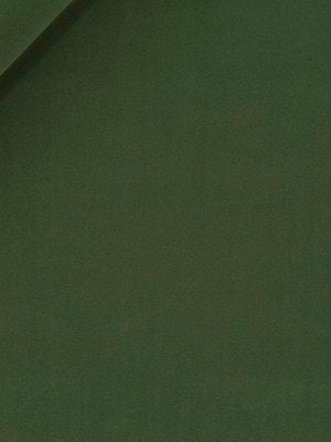 FOREVER VELVET | EVERGREEN