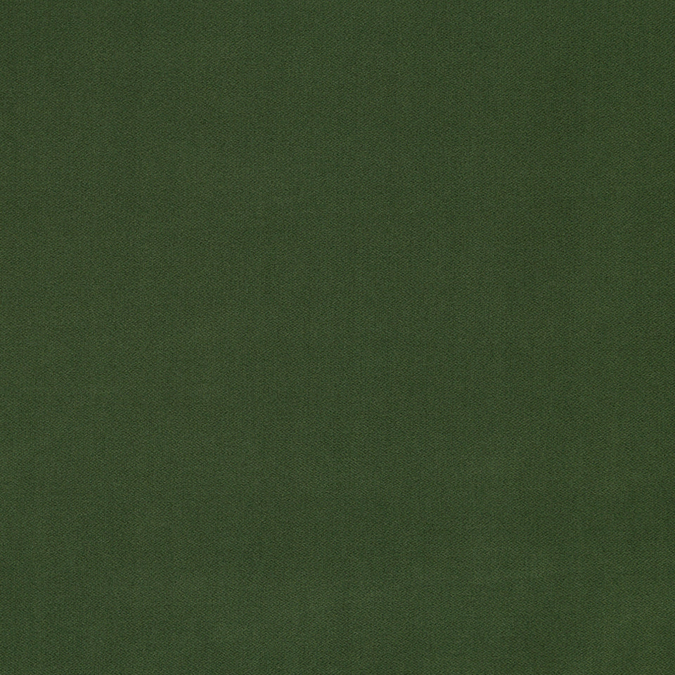 FOREVER VELVET | EVERGREEN