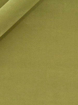 FOREVER VELVET | APPLE GREEN