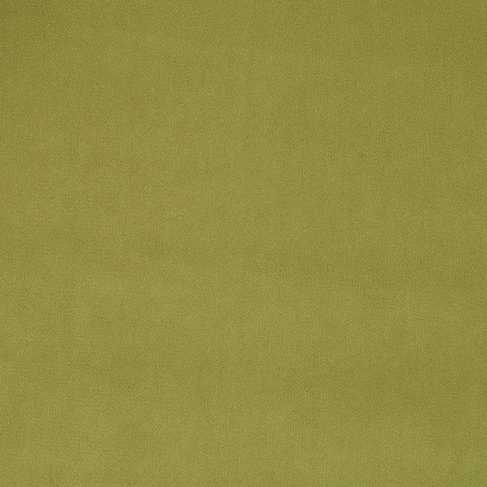 FOREVER VELVET | APPLE GREEN