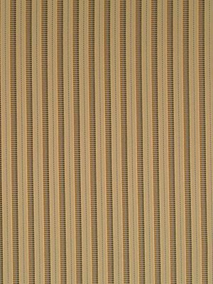 GYPSY BANDS | WARM NEUTRAL - Upholstery - Fabric