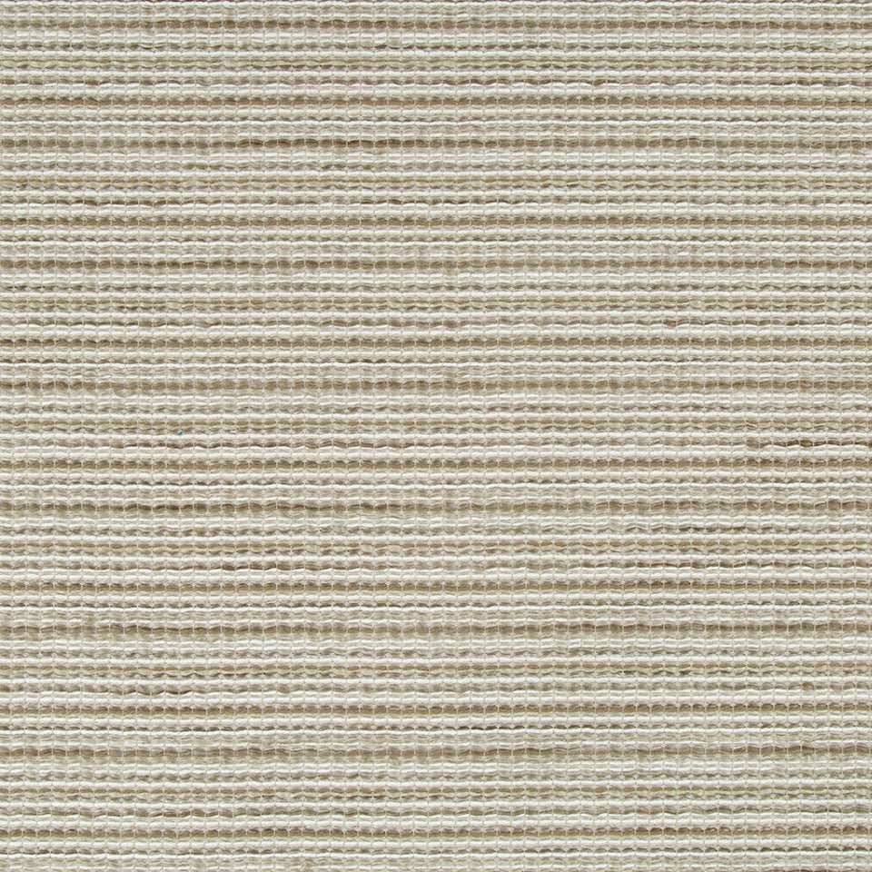 DISHER | DRIFTWOOD