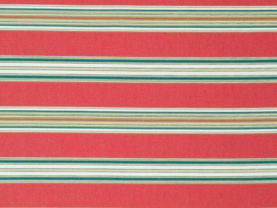 REN STRIPE RR | CORAL - Multi-purpose