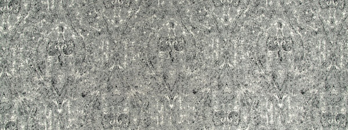 OGEE PAISLEY | PEWTER - Upholstery - Fabric