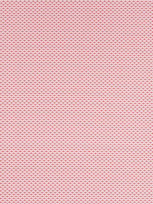 Dash Motifs | Coral - Multi-purpose
