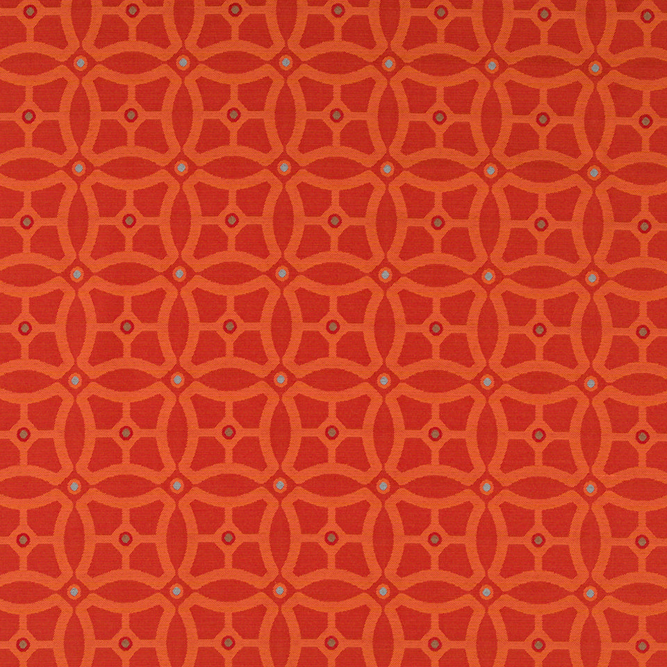LINDEN PARK | POMODORO