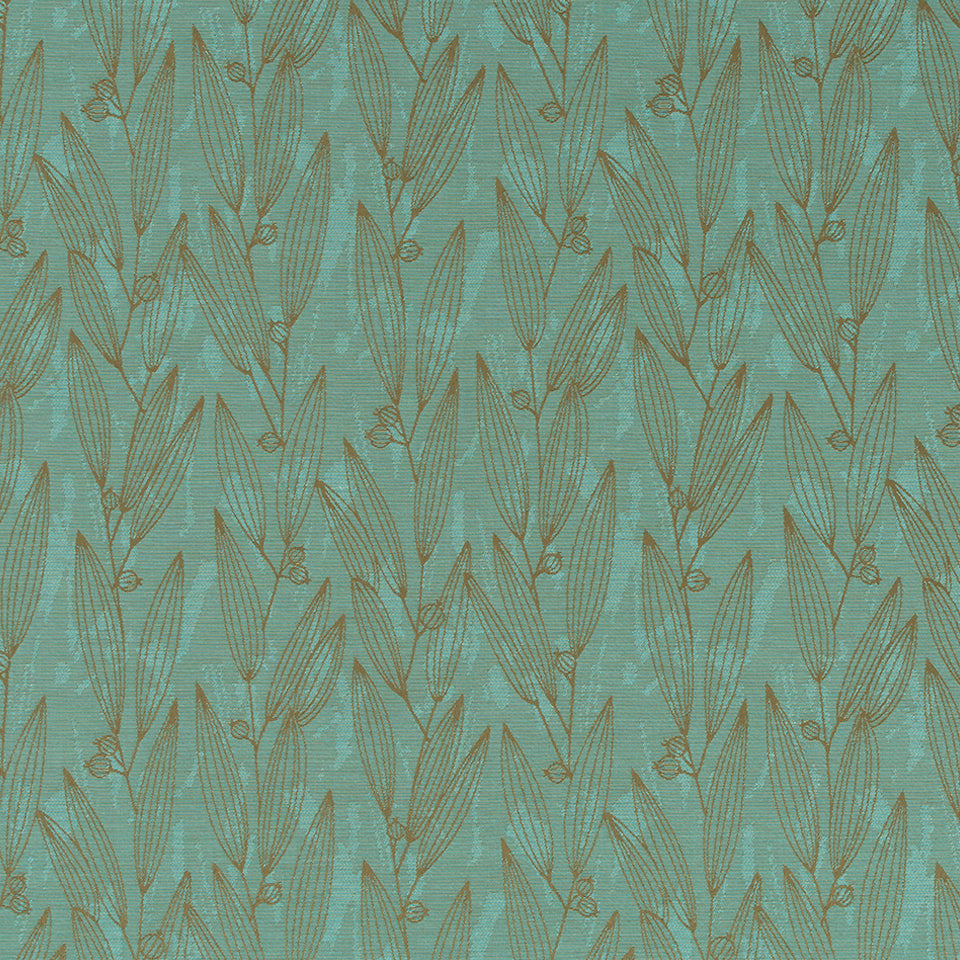 PENTUCKET | AQUATIC