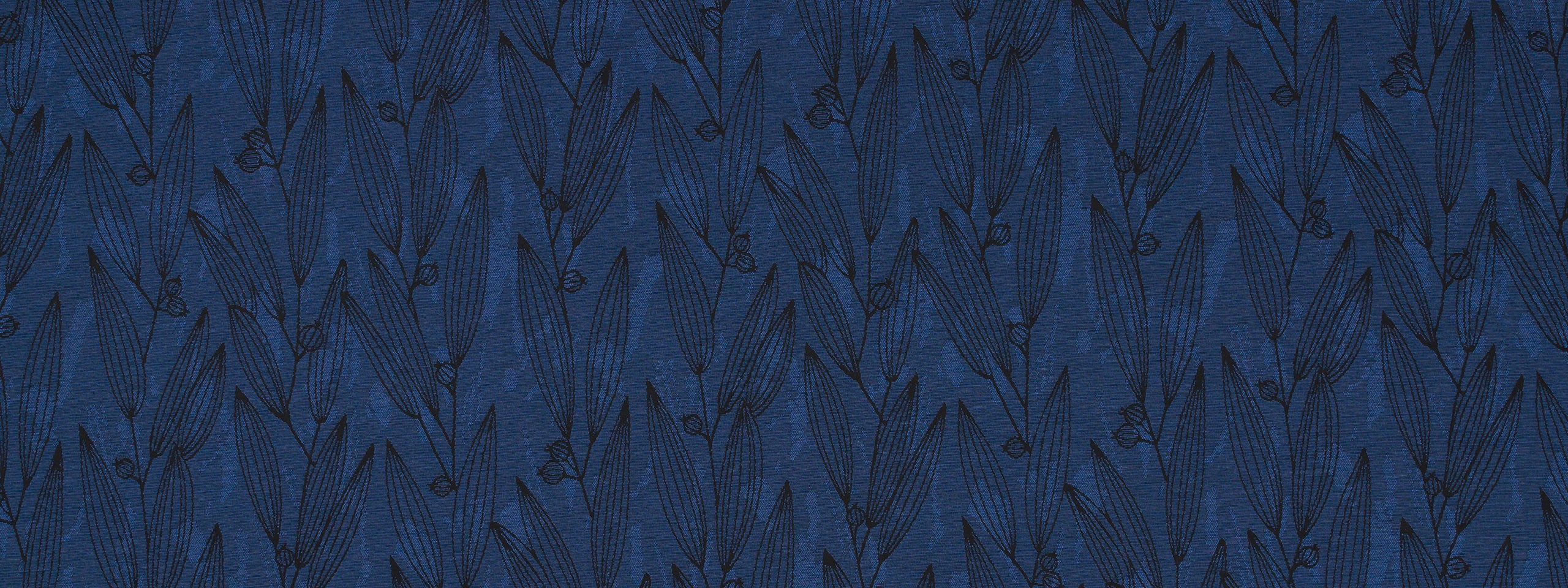 PENTUCKET | INDIGO