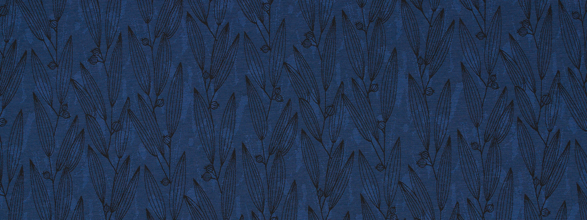 PENTUCKET | INDIGO