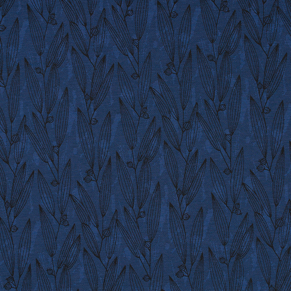 PENTUCKET | INDIGO