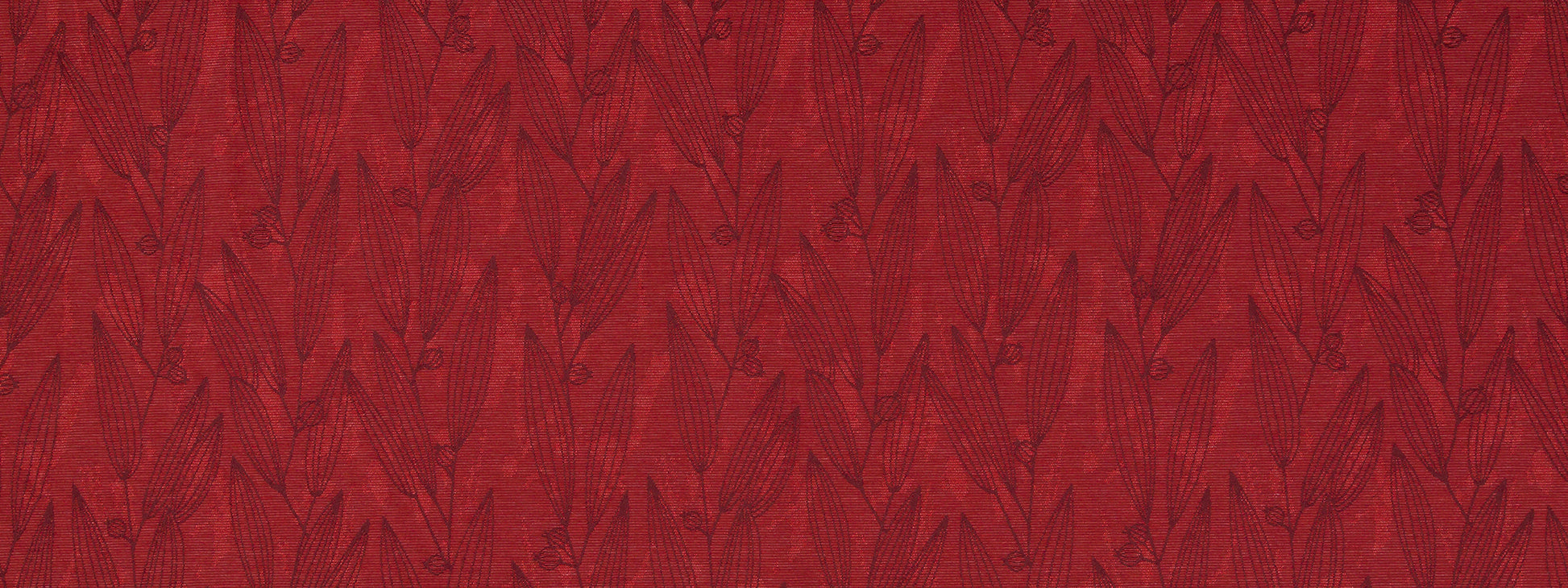 PENTUCKET | ORCHID