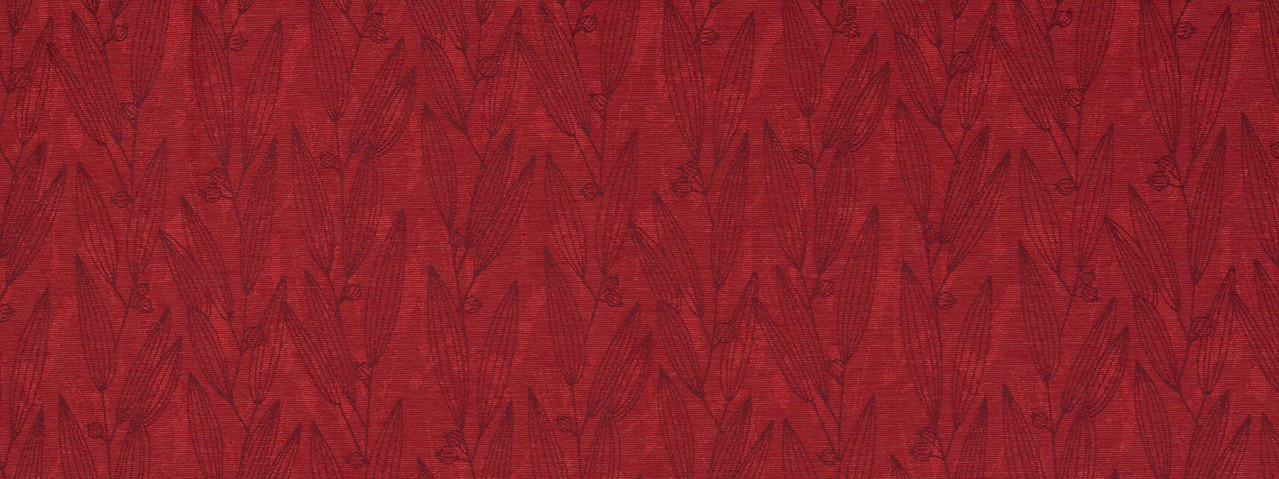PENTUCKET | ORCHID