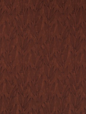 PENTUCKET | ORCHID