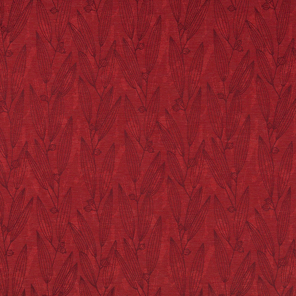 PENTUCKET | ORCHID