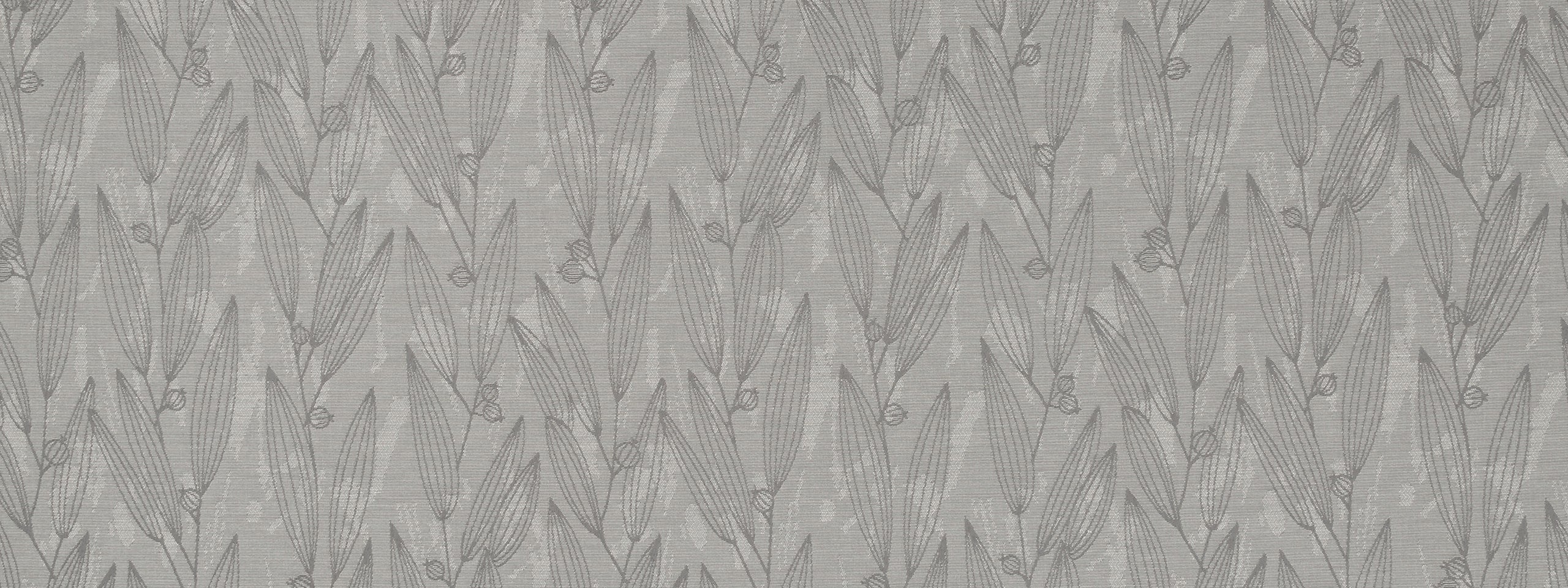 PENTUCKET | PLATINUM