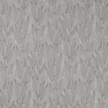 PENTUCKET | PLATINUM