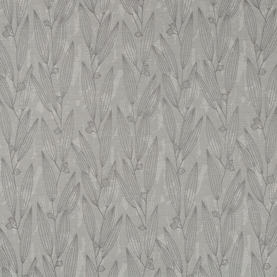 PENTUCKET | PLATINUM