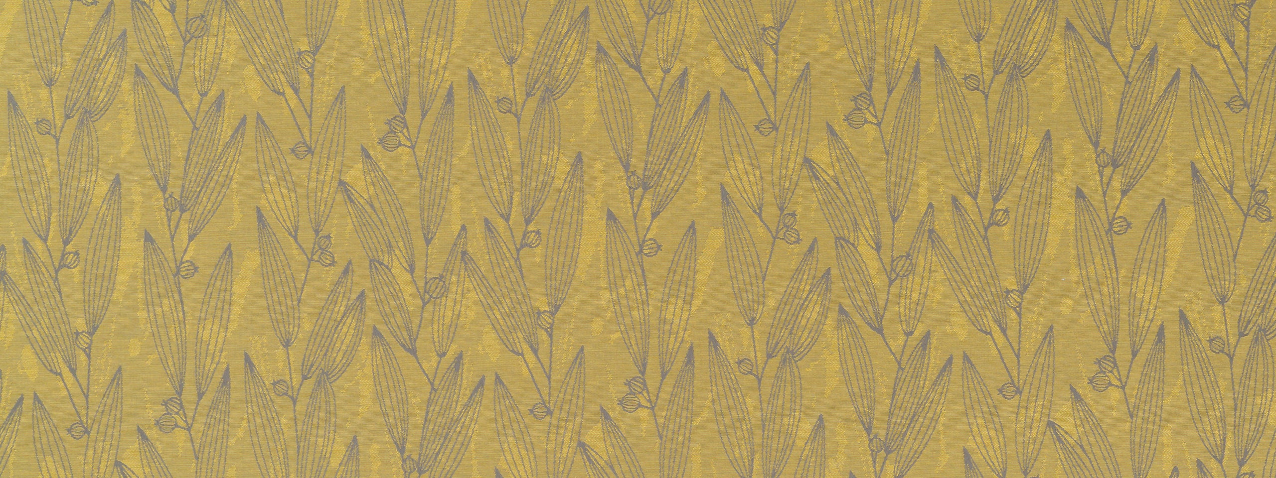 PENTUCKET | PALM