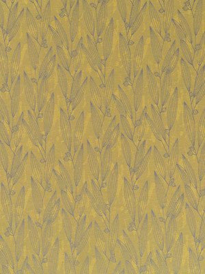 PENTUCKET | PALM