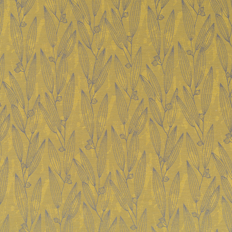 PENTUCKET | PALM