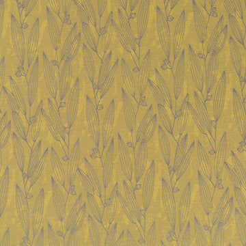 PENTUCKET | PALM