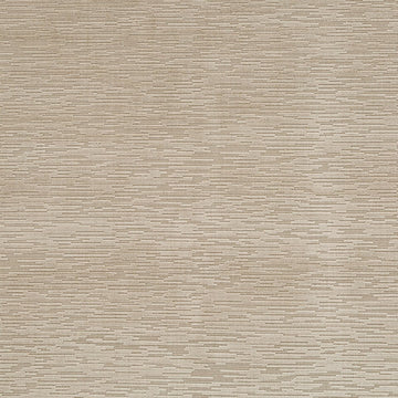 Eva Velvet | Fawn - Upholstery - Fabric