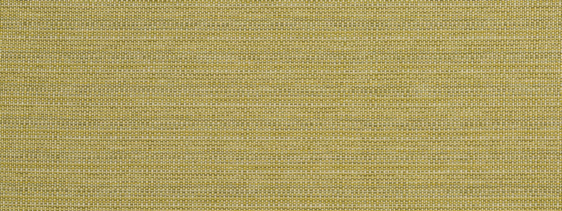 BREMOND | CACTUS
