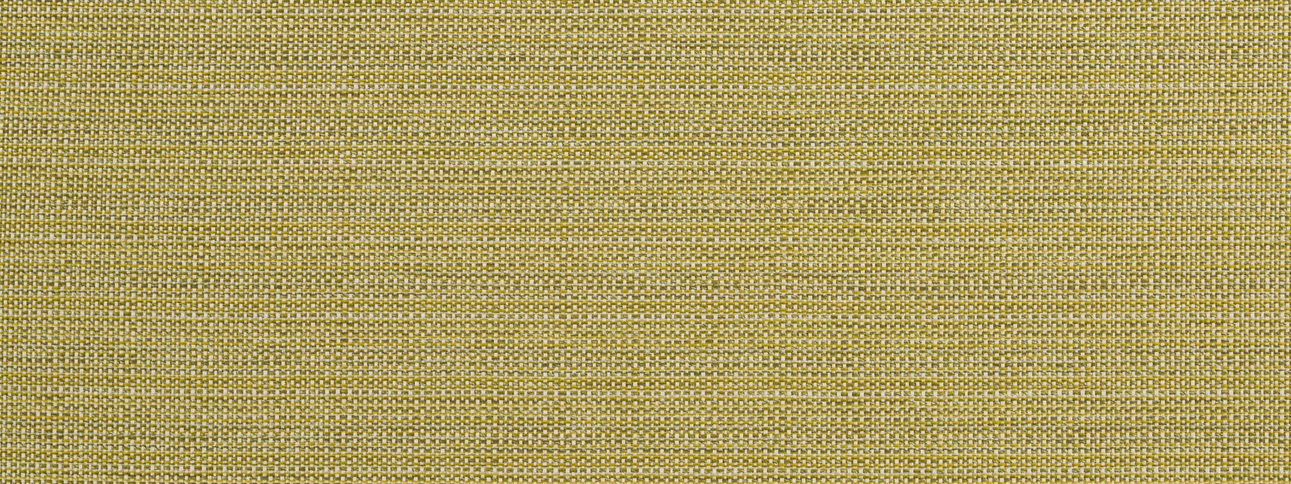 BREMOND | CACTUS