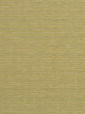 BREMOND | CACTUS
