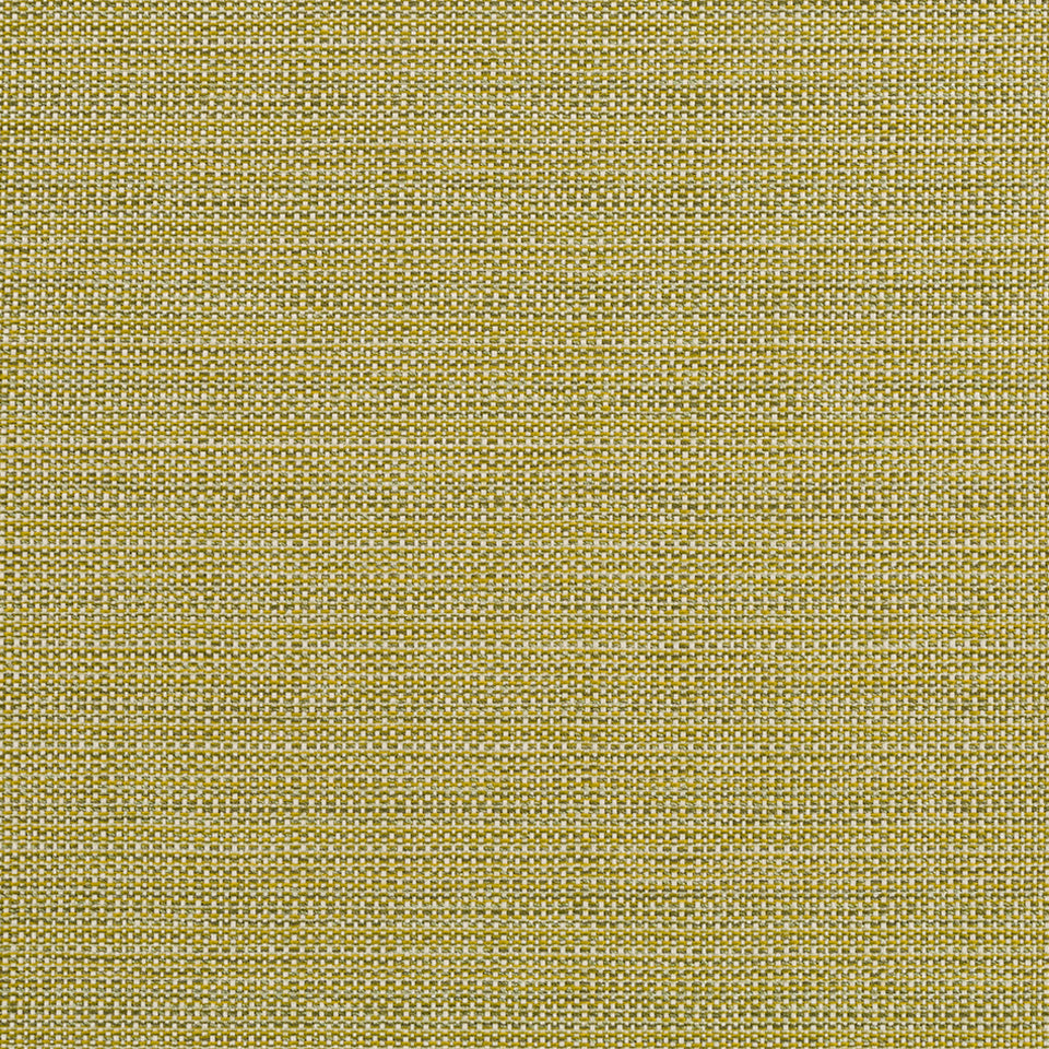 BREMOND | CACTUS
