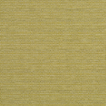 BREMOND | CACTUS