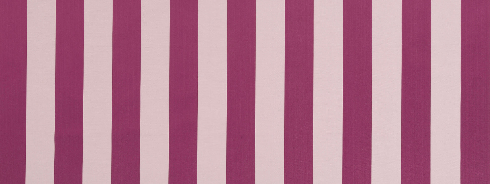 COMMOTION | BEET