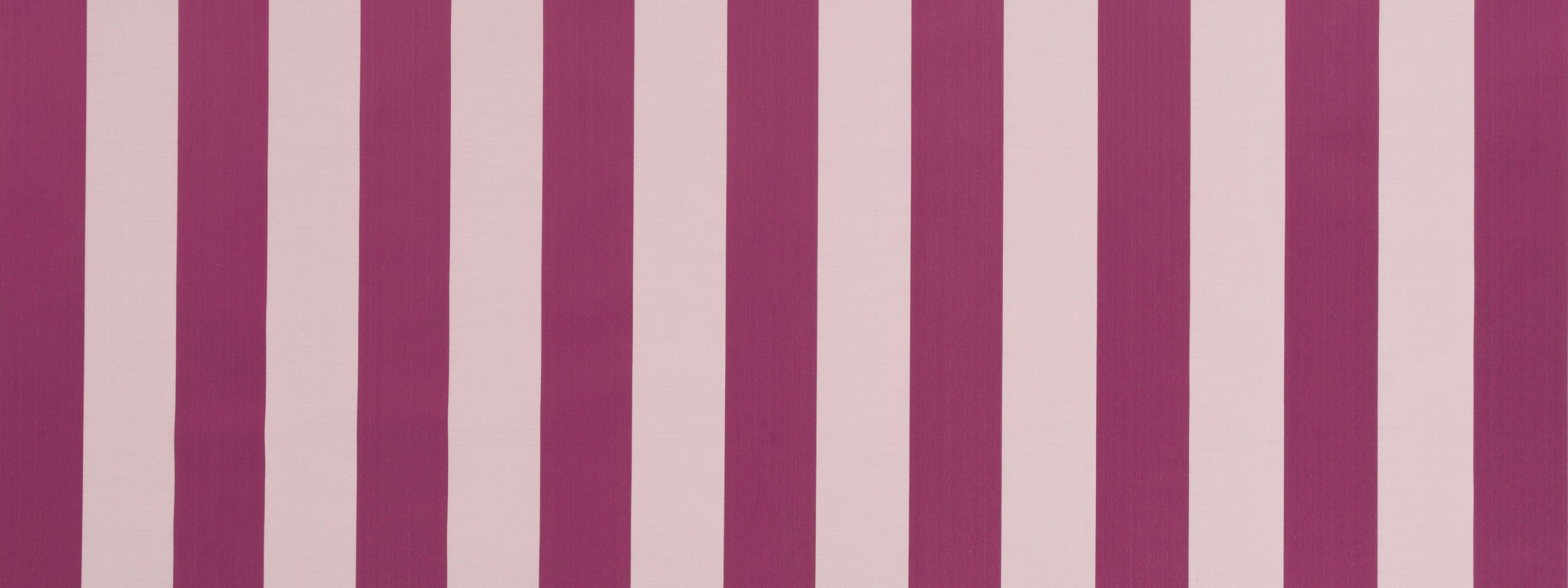 COMMOTION | BEET