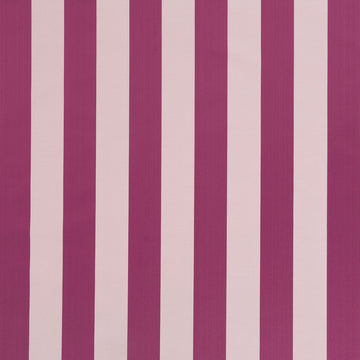 COMMOTION | BEET
