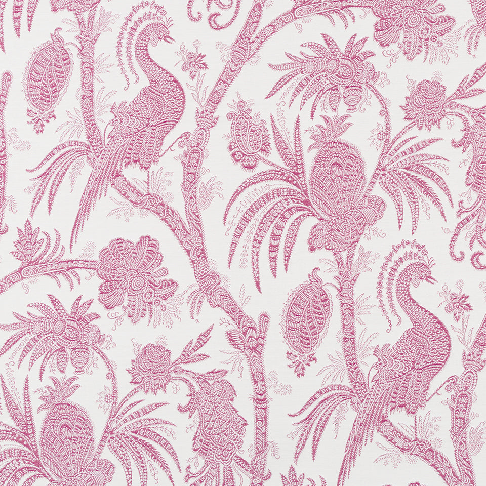 LA PALMA | BEET